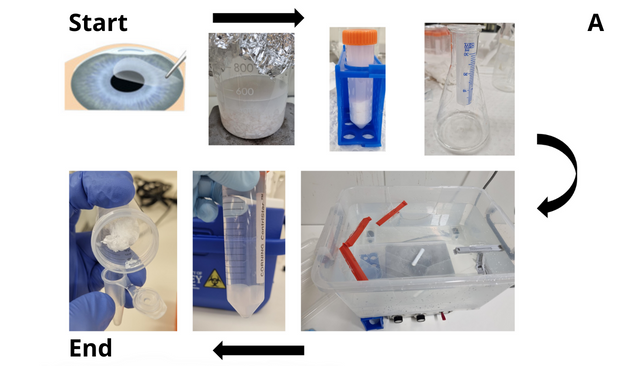 Series of images showing collagen extraction from surgically discarded tissue